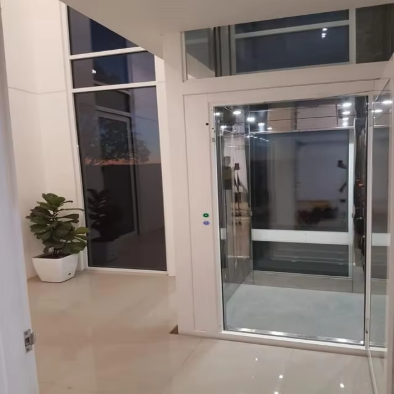 VTEV109 Ascensores Elevadores Lift Villa Kaca Bergaya untuk Rumah Dupleks Pribadi