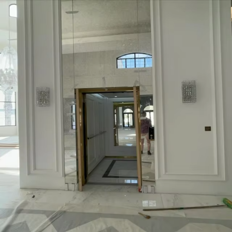 VTEV109 Ascensores Elevadores Lift Villa Kaca Bergaya untuk Rumah Dupleks Pribadi