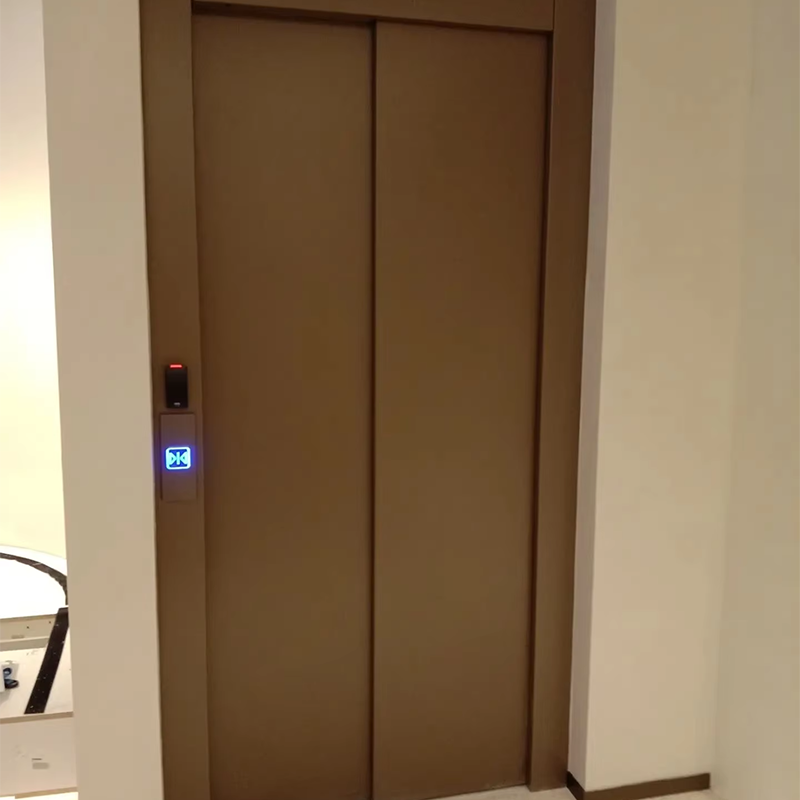 VTEP111Menyensor Lift Penumpang yang Dapat Disesuaikan dengan Fitur Keamanan Tingkat Lanjut