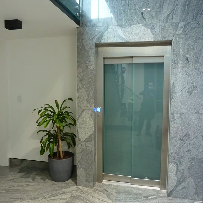 VTEP111Menyensor Lift Penumpang yang Dapat Disesuaikan dengan Fitur Keamanan Tingkat Lanjut