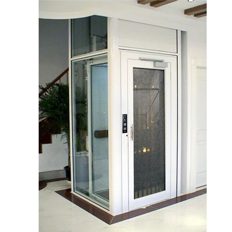 VTEV102 Ascensores Elevadores Lift Villa Hemat Energi untuk Dekorasi Perumahan