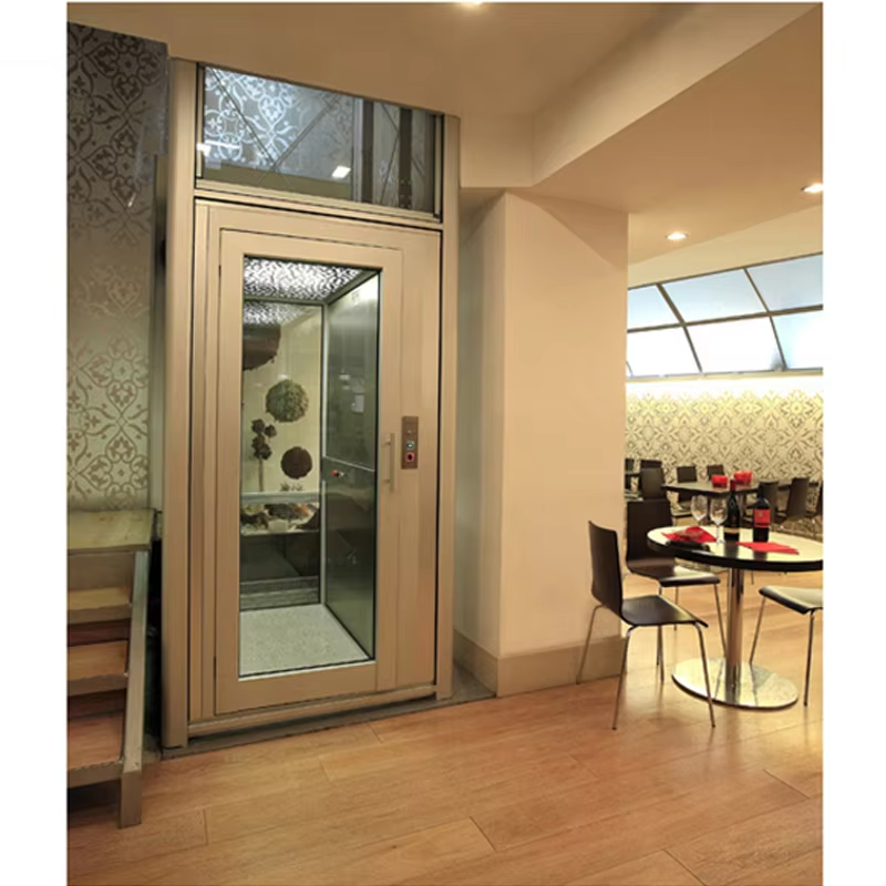 VTEV102 Ascensores Elevadores Lift Villa Hemat Energi untuk Dekorasi Perumahan
