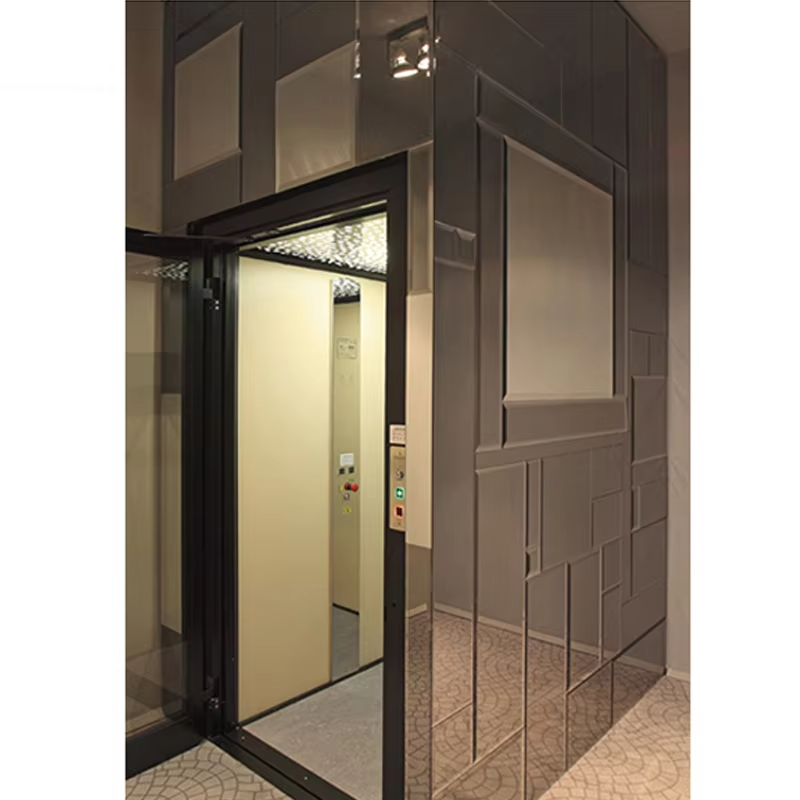 VTEV101 Ascensores Elevadores Lift Villa Desain Cantik untuk Gaya Dekorasi Modern
