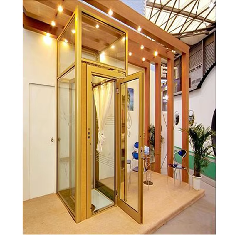VTEV101 Ascensores Elevadores Lift Villa Desain Cantik untuk Gaya Dekorasi Modern