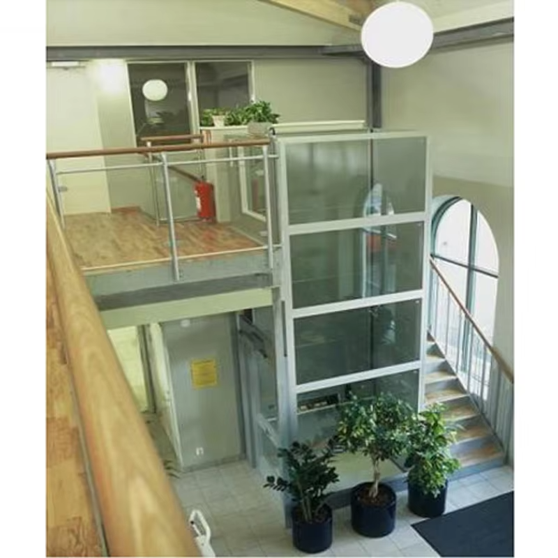 VTEV103 Ascensores Elevadores Smart Control Villa Lift untuk Transportasi Rumah yang Nyaman