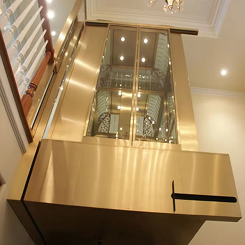VTEV104 Ascensores Elevadores Lift Vila Stainless Steel Mewah untuk Penggunaan Keluarga