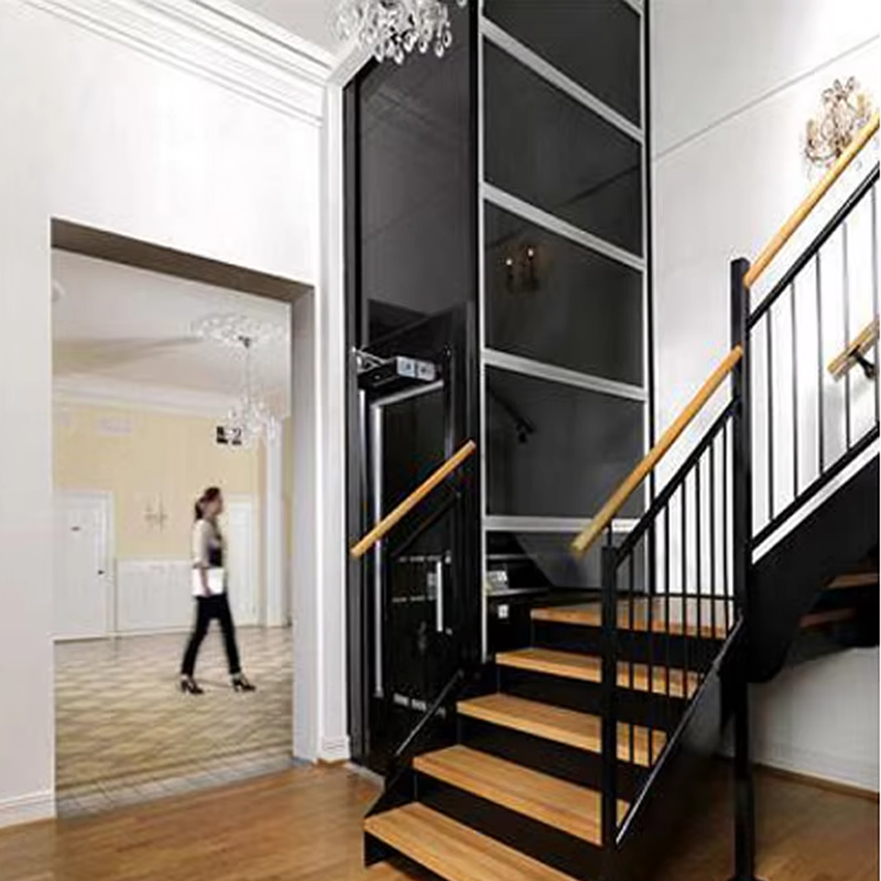 VTEV104 Ascensores Elevadores Lift Vila Stainless Steel Mewah untuk Penggunaan Keluarga