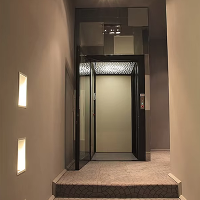 VTEV104 Ascensores Elevadores Lift Vila Stainless Steel Mewah untuk Penggunaan Keluarga