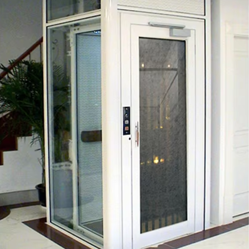 VTEV105 Ascensores Elevadores Lift Vila Kabin Khusus untuk Dekorasi Interior