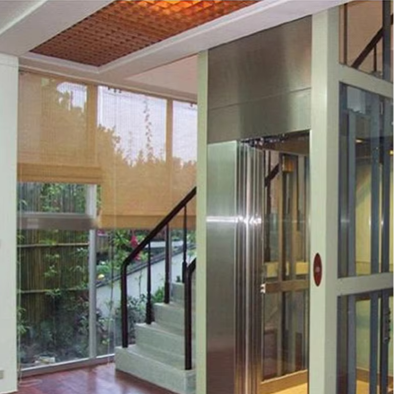 VTEV105 Ascensores Elevadores Lift Vila Kabin Khusus untuk Dekorasi Interior