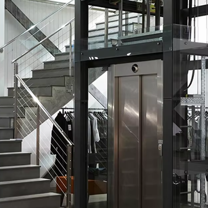 VTEV105 Ascensores Elevadores Lift Vila Kabin Khusus untuk Dekorasi Interior