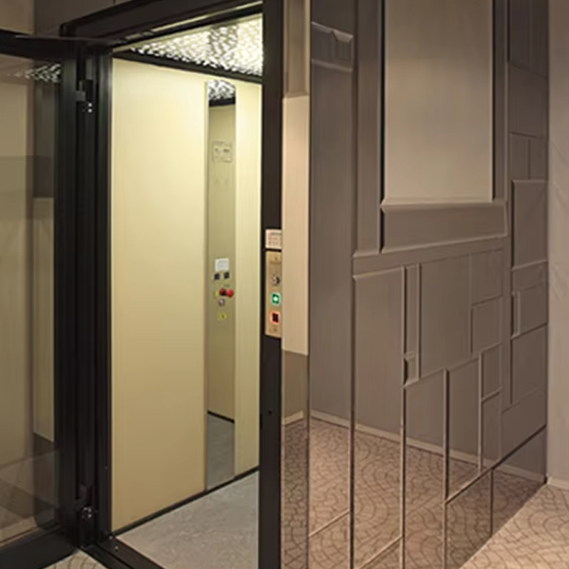 VTEV105 Ascensores Elevadores Lift Vila Kabin Khusus untuk Dekorasi Interior