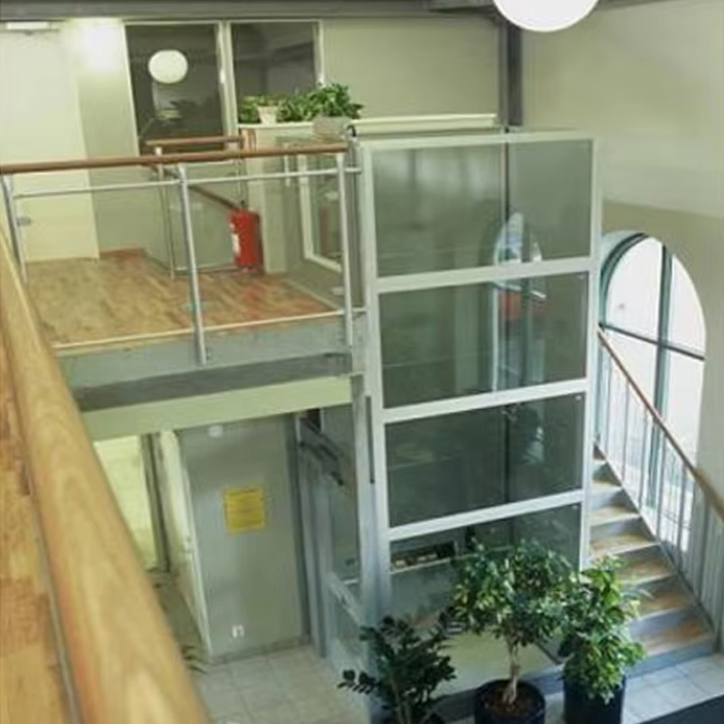 VTEV105 Ascensores Elevadores Lift Vila Kabin Khusus untuk Dekorasi Interior