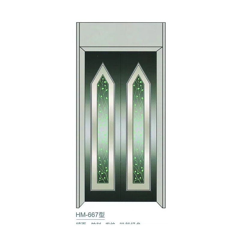VTSP204 Sistem Pintu Lift Berkualitas Tinggi Panel Pintu Manual Kaca Lukis Stainless Steel