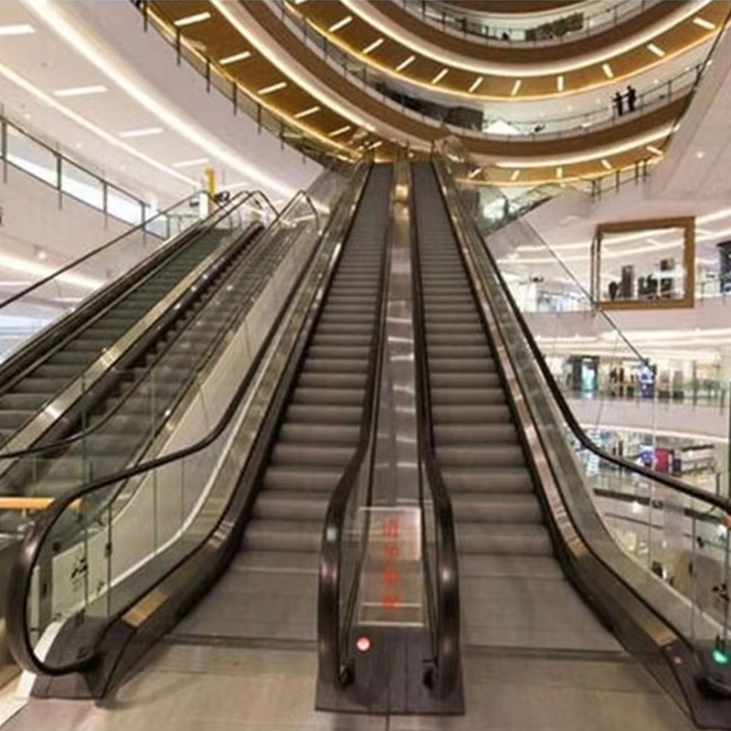 VTES102 0.5m_s Speed ​​Elevator Outdoor Escalator dan Moving Walks untuk Harga Pabrik