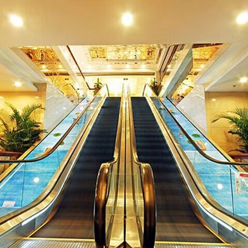 VTES102 0.5m_s Speed ​​Elevator Outdoor Escalator dan Moving Walks untuk Harga Pabrik