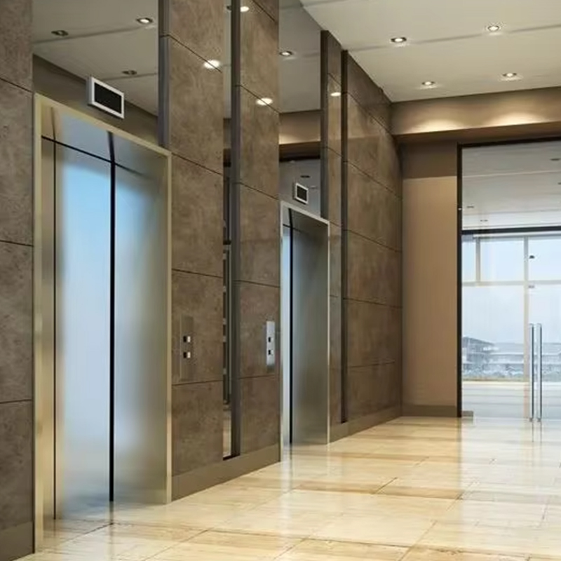 VTEP118 Elevadores Lift Penumpang Tingkat Lanjut, Konstruksi Baja Tahan Karat AC PVC Tanpa Roda, Fitur Cerdas Bersertifikat ISO90001 Peningkatan