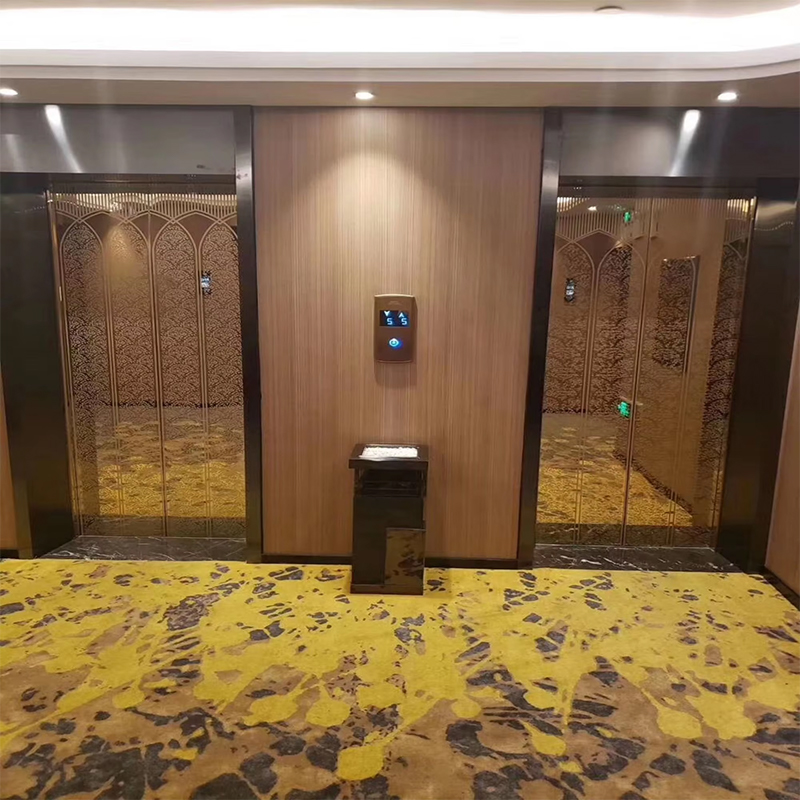 VTEP118 Elevadores Lift Penumpang Tingkat Lanjut, Konstruksi Baja Tahan Karat AC PVC Tanpa Roda, Fitur Cerdas Bersertifikat ISO90001 Peningkatan