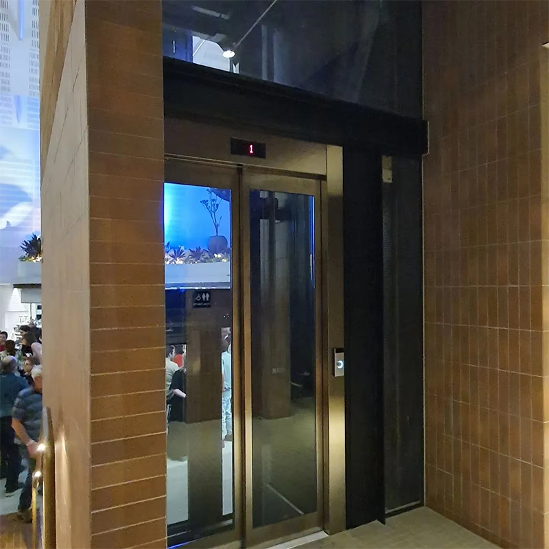 VTEP119 Ascensores Lift Penumpang AC Tanpa Roda untuk Gedung Bertingkat Baja Tahan Karat Bersertifikat ISO9001 Pemasangan Mudah