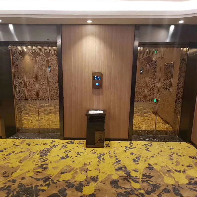 VTEP122 Elevadores Lift Penumpang Canggih dan Hemat Ruang untuk Gedung Bertingkat Tinggi
