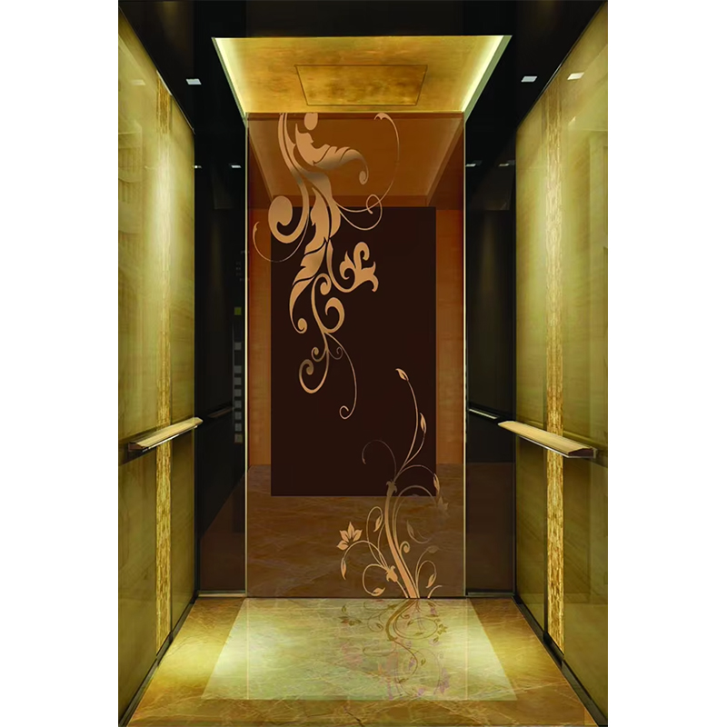 Kabin Lift Hotel Mewah VTSP133 dengan Desain Kontemporer Stainless Steel Premium Warna Disesuaikan Garansi 1 Tahun