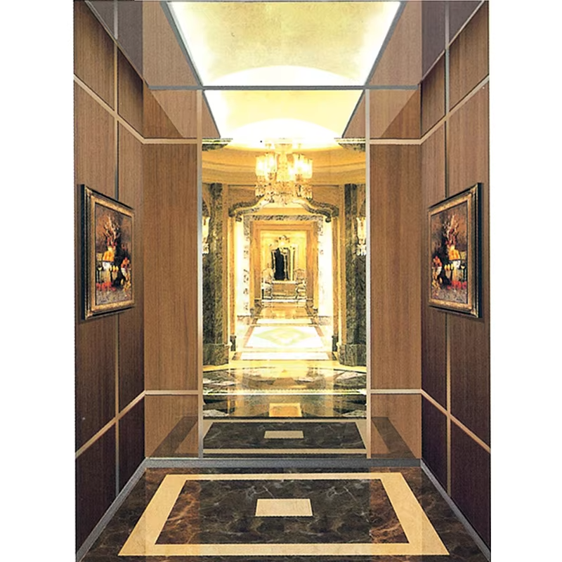 VTSP126 Suku Cadang & Aksesori Lift Kabin Lift Penumpang dengan Dekorasi Interior Modern